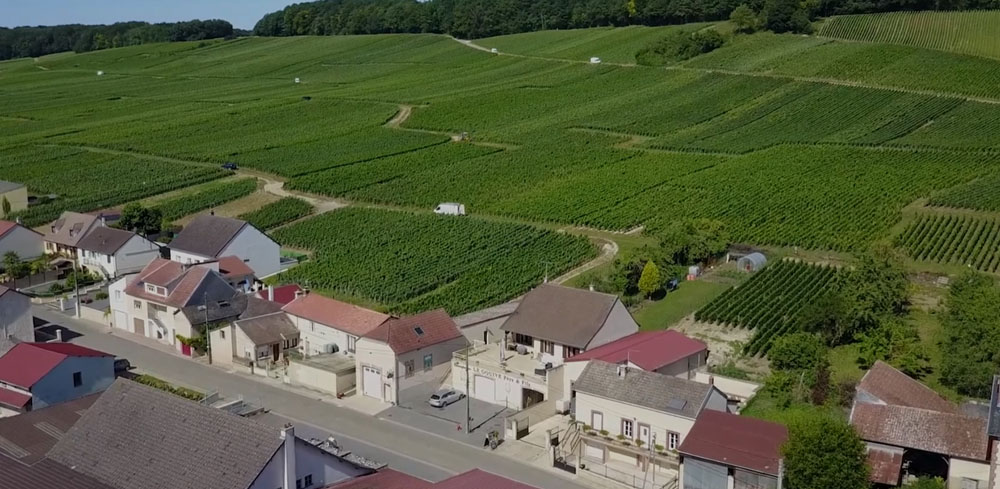 Le vignoble « Coteaux sud d’Epernay »